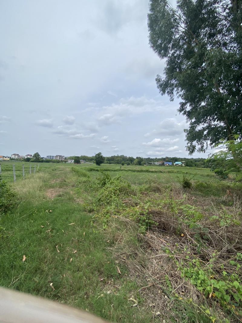 ที่ดิน 8000000 ขอนแก่น เมืองขอนแก่น ศิลา ที่ดิน 8000000 ขอนแก่น เมืองขอนแก่น ศิลา