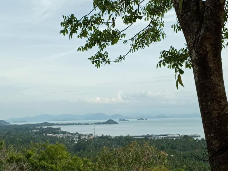 ที่ดิน 4000000 สุราษฎร์ธานี เกาะสมุย อ่างทอง ที่ดิน 4000000 สุราษฎร์ธานี เกาะสมุย อ่างทอง