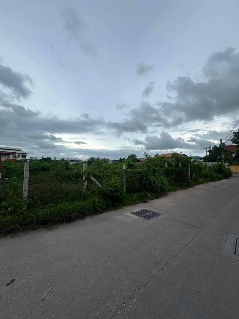 ที่ดิน 0 ชลบุรี บางละมุง บางละมุง ที่ดิน 0 ชลบุรี บางละมุง บางละมุง