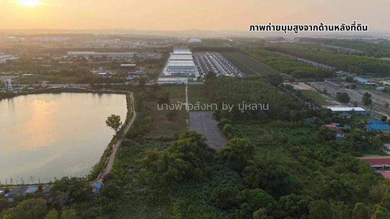 ที่ดิน 0 ระยอง กิ่งอำเภอนิคมพัฒนา นิคมพัฒนา ที่ดิน 0 ระยอง กิ่งอำเภอนิคมพัฒนา นิคมพัฒนา