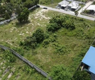 ที่ดิน 0 ระยอง บ้านฉาง บ้านฉาง
