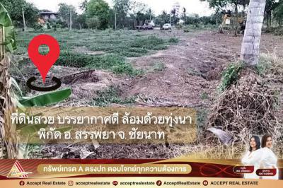 ที่ดิน 0 ชัยนาท สรรพยา บางหลวง