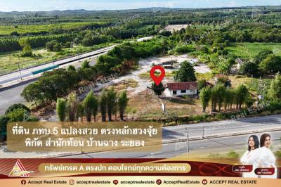 ที่ดิน 26000000 ระยอง บ้านฉาง สำนักท้อน