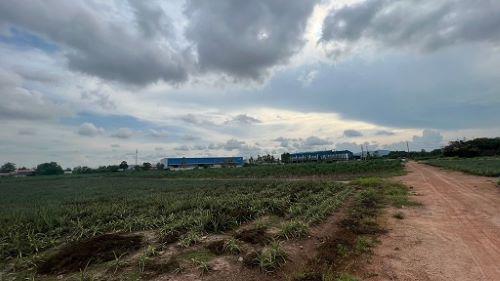 ที่ดิน 2500000 ระยอง เมืองระยอง มาบตาพุด ที่ดิน 2500000 ระยอง เมืองระยอง มาบตาพุด