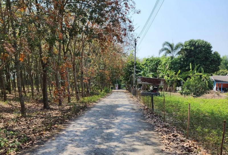 ที่ดิน 1500000 ระยอง เมืองระยอง ทับมา ที่ดิน 1500000 ระยอง เมืองระยอง ทับมา