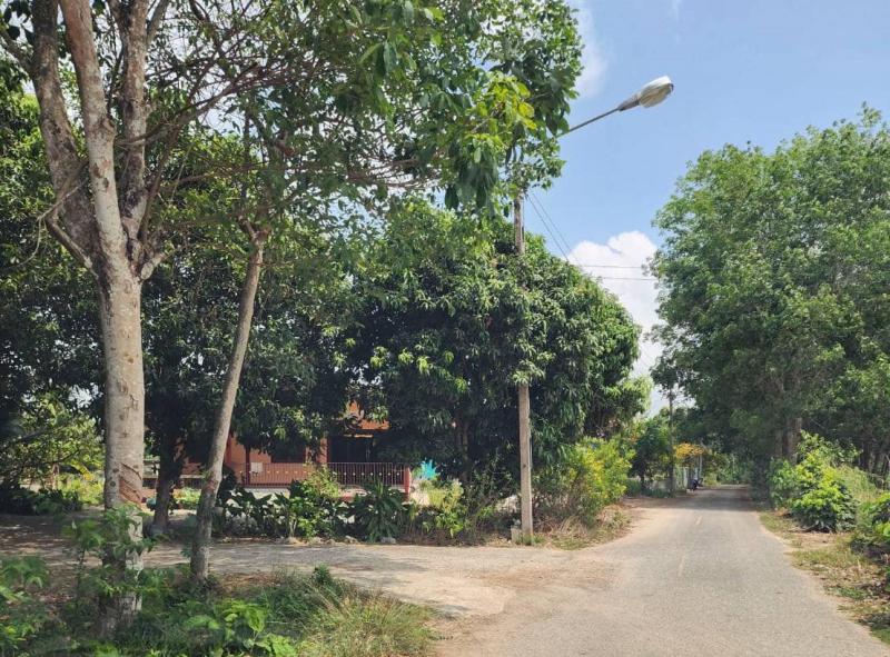 ที่ดิน 1500000 ระยอง เมืองระยอง ทับมา ที่ดิน 1500000 ระยอง เมืองระยอง ทับมา
