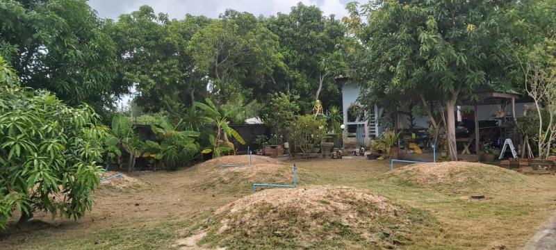 บ้านเดี่ยว 4600000 ระยอง เมืองระยอง เชิงเนิน บ้านเดี่ยว 4600000 ระยอง เมืองระยอง เชิงเนิน