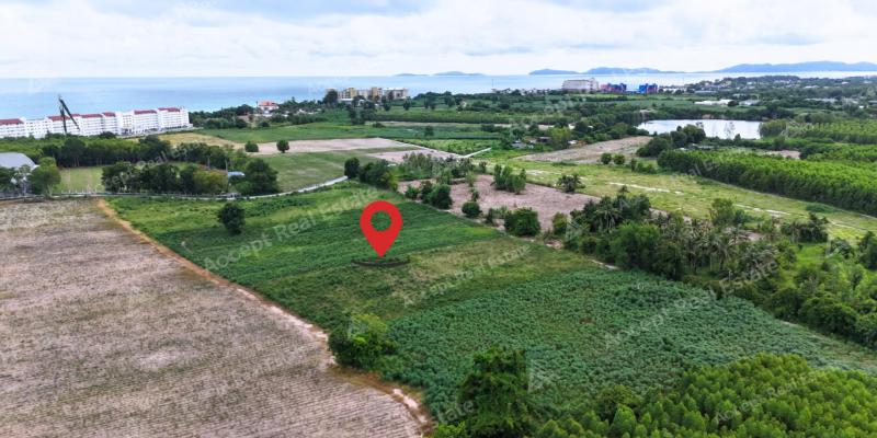 ที่ดิน 3500000 ระยอง บ้านฉาง บ้านฉาง ที่ดิน 3500000 ระยอง บ้านฉาง บ้านฉาง