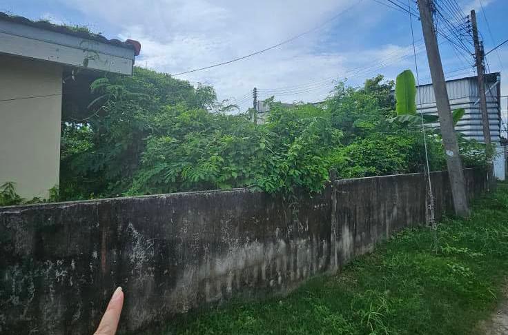 ที่ดิน 1200000 ระยอง เมืองระยอง เชิงเนิน ที่ดิน 1200000 ระยอง เมืองระยอง เชิงเนิน