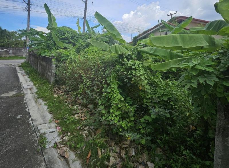 ที่ดิน 1200000 ระยอง เมืองระยอง เชิงเนิน ที่ดิน 1200000 ระยอง เมืองระยอง เชิงเนิน