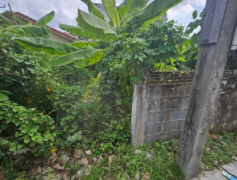 ที่ดิน 1200000 ระยอง เมืองระยอง เชิงเนิน ที่ดิน 1200000 ระยอง เมืองระยอง เชิงเนิน