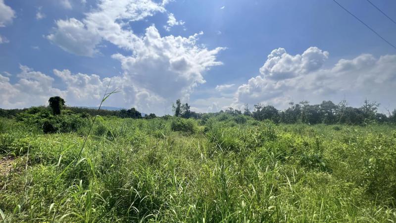 ที่ดิน 21000000 ระยอง เมืองระยอง บ้านแลง ที่ดิน 21000000 ระยอง เมืองระยอง บ้านแลง