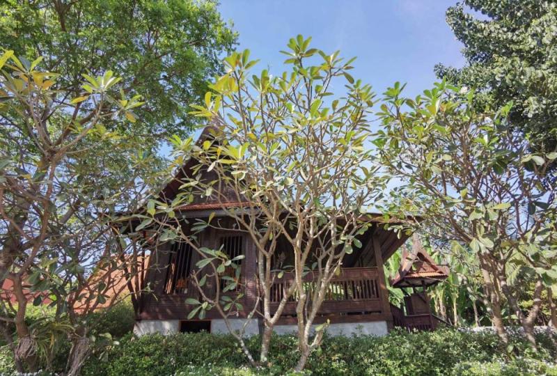 บ้านเดี่ยว 5500000 สุพรรณบุรี อู่ทอง พลับพลาไชย บ้านเดี่ยว 5500000 สุพรรณบุรี อู่ทอง พลับพลาไชย