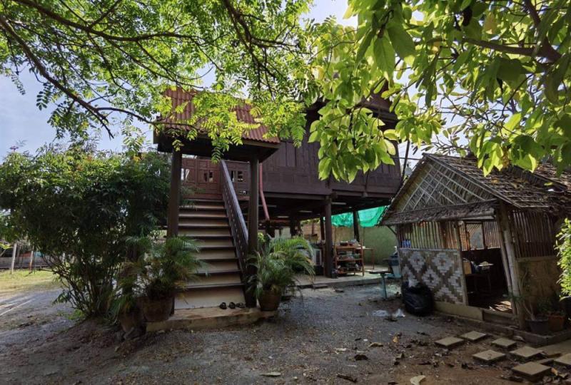 บ้านเดี่ยว 5500000 สุพรรณบุรี อู่ทอง พลับพลาไชย บ้านเดี่ยว 5500000 สุพรรณบุรี อู่ทอง พลับพลาไชย