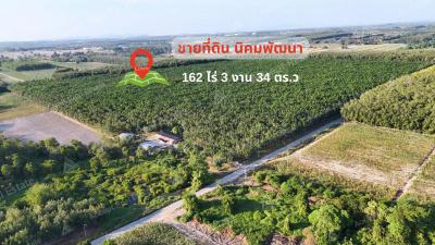 ที่ดิน 1700000 ระยอง กิ่งอำเภอนิคมพัฒนา นิคมพัฒนา