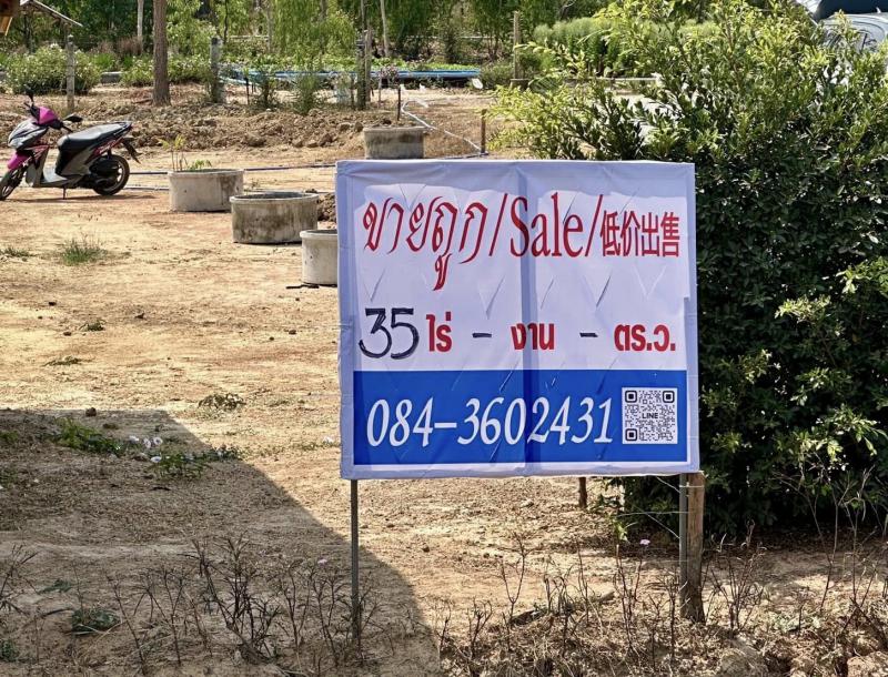 ที่ดิน 10000000 สุพรรณบุรี ดอนเจดีย์ ทะเลบก ที่ดิน 10000000 สุพรรณบุรี ดอนเจดีย์ ทะเลบก