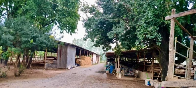 ที่ดิน 10000000 สุพรรณบุรี ดอนเจดีย์ ทะเลบก ที่ดิน 10000000 สุพรรณบุรี ดอนเจดีย์ ทะเลบก