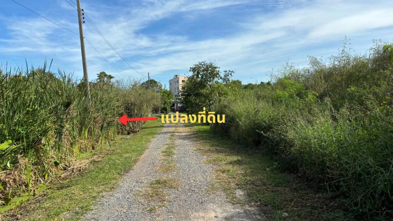 ที่ดิน 10520000 กรุงเทพมหานคร เขตประเวศ ประเวศ ที่ดิน 10520000 กรุงเทพมหานคร เขตประเวศ ประเวศ