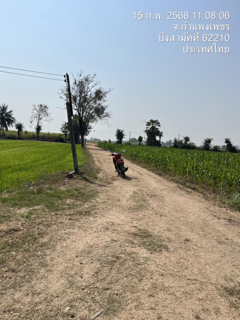 ที่ดิน 120000 กำแพงเพชร กิ่งอำเภอบึงสามัคคี บึงสามัคคี ที่ดิน 120000 กำแพงเพชร กิ่งอำเภอบึงสามัคคี บึงสามัคคี