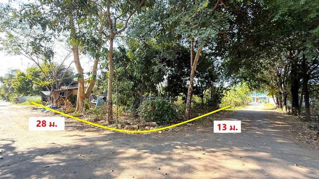 ที่ดิน 4200000 เชียงใหม่ เมืองเชียงใหม่ ช้างเผือก