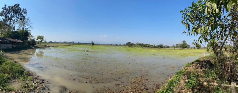 ที่ดิน 1200000 เชียงราย เมืองเชียงราย บ้านดู่ ที่ดิน 1200000 เชียงราย เมืองเชียงราย บ้านดู่