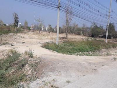 ที่ดิน 49000000 ลำพูน เมืองลำพูน บ้านกลาง