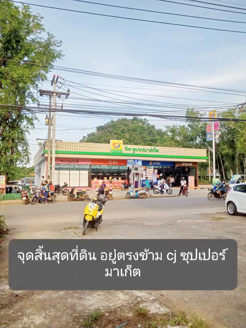 ที่ดิน 3500000 นครราชสีมา ปากช่อง หนองน้ำแดง ที่ดิน 3500000 นครราชสีมา ปากช่อง หนองน้ำแดง