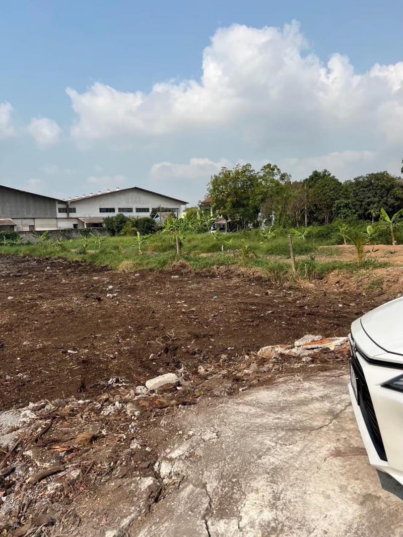 ที่ดิน 14900000 กรุงเทพมหานคร เขตหนองจอก โคกแฝด ที่ดิน 14900000 กรุงเทพมหานคร เขตหนองจอก โคกแฝด