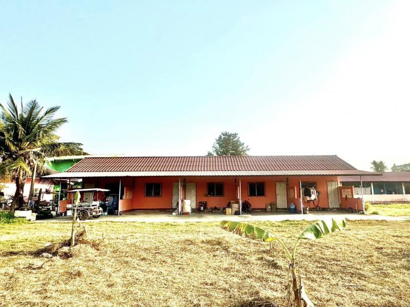 ห้องเช่า 10000000 ระยอง เมืองระยอง เพ ห้องเช่า 10000000 ระยอง เมืองระยอง เพ