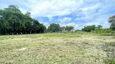 ที่ดิน 8500000 เชียงใหม่ สันทราย หนองจ๊อม