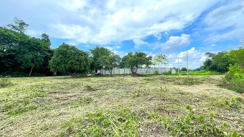 ที่ดิน 8500000 เชียงใหม่ สันทราย หนองจ๊อม ที่ดิน 8500000 เชียงใหม่ สันทราย หนองจ๊อม