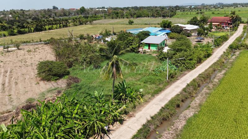 ที่ดิน 1250000 ชัยนาท สรรพยา บางหลวง ที่ดิน 1250000 ชัยนาท สรรพยา บางหลวง