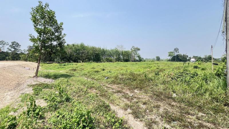 ที่ดิน 1100000 ระยอง บ้านค่าย หนองบัว ที่ดิน 1100000 ระยอง บ้านค่าย หนองบัว