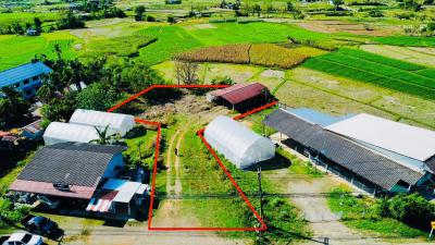 ที่ดิน 1500000 น่าน ปัว ศิลาเพชร