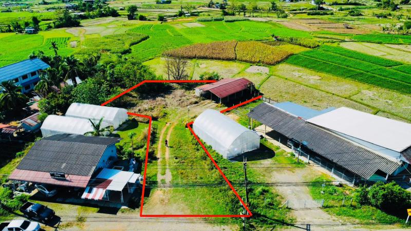 ที่ดิน 1500000 น่าน ปัว ศิลาเพชร ที่ดิน 1500000 น่าน ปัว ศิลาเพชร
