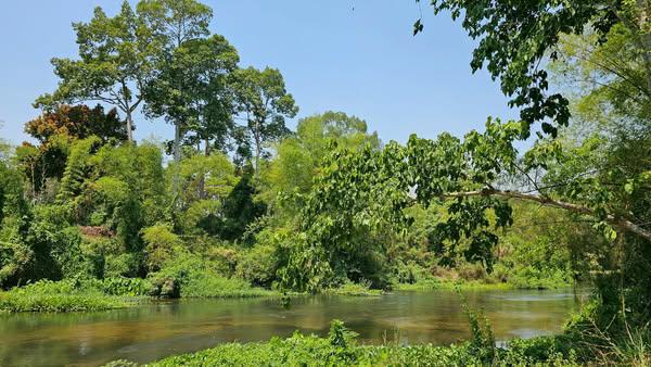 ที่ดิน 19500000 เพชรบุรี ท่ายาง ท่าคอย ที่ดิน 19500000 เพชรบุรี ท่ายาง ท่าคอย