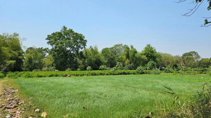 ที่ดิน 19500000 เพชรบุรี ท่ายาง ท่าคอย ที่ดิน 19500000 เพชรบุรี ท่ายาง ท่าคอย
