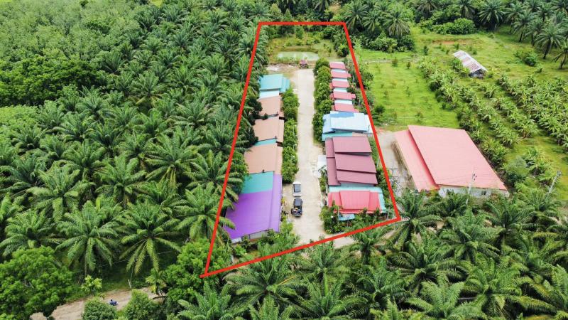 รีสอร์ท 9500000 ชุมพร ท่าแซะ ทรัพย์อนันต์ รีสอร์ท 9500000 ชุมพร ท่าแซะ ทรัพย์อนันต์