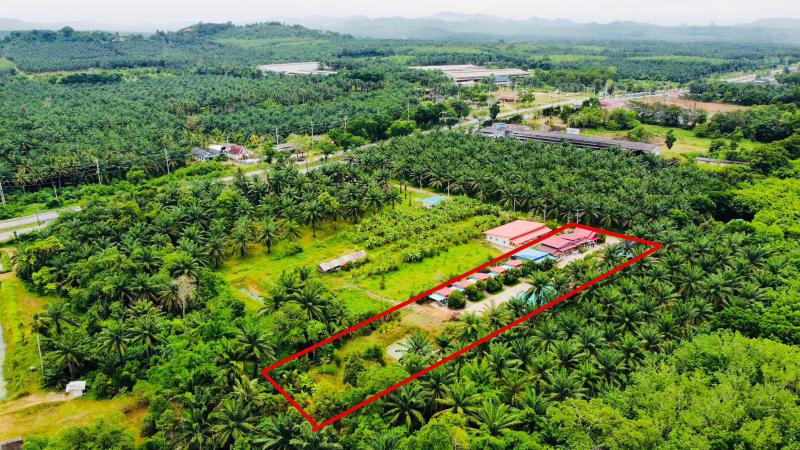 รีสอร์ท 9500000 ชุมพร ท่าแซะ ทรัพย์อนันต์ รีสอร์ท 9500000 ชุมพร ท่าแซะ ทรัพย์อนันต์