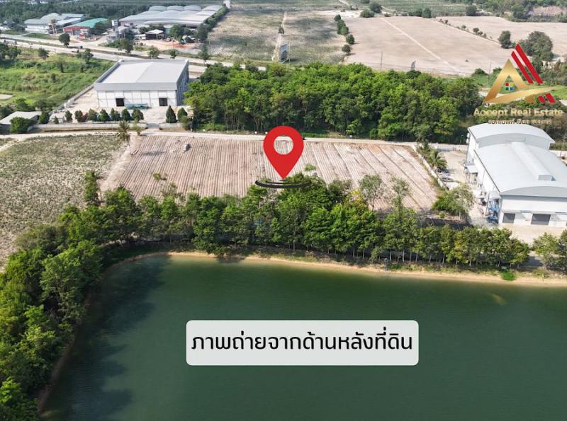 ที่ดิน 55000000 ระยอง เมืองระยอง ทับมา ที่ดิน 55000000 ระยอง เมืองระยอง ทับมา