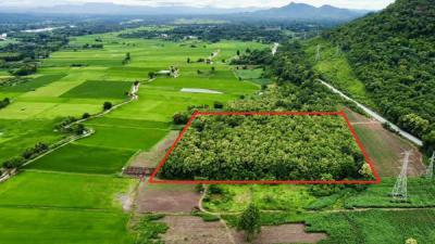 ที่ดิน 5500000 ตาก เมืองตาก วังหิน