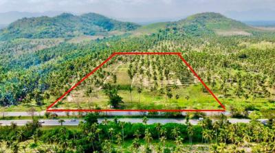 ที่ดิน 24000000 ประจวบคีรีขันธ์ ทับสะแก นาหูกวาง