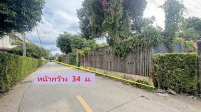 ที่ดิน 40530000 เชียงใหม่ เมืองเชียงใหม่ ฟ้าฮ่าม